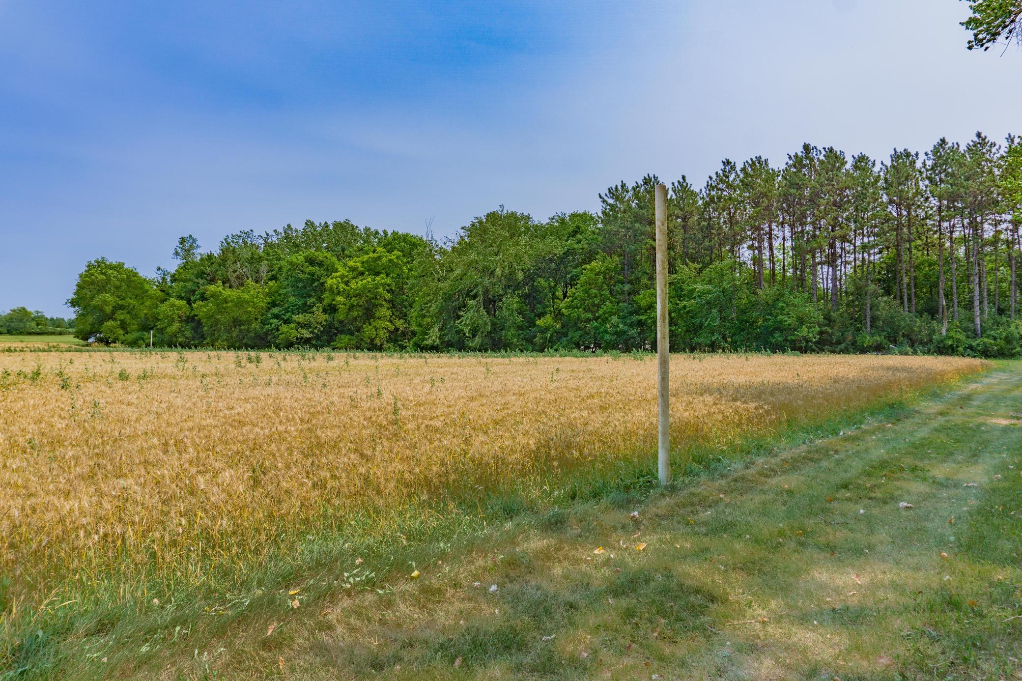 152XX Halsey Avenue
