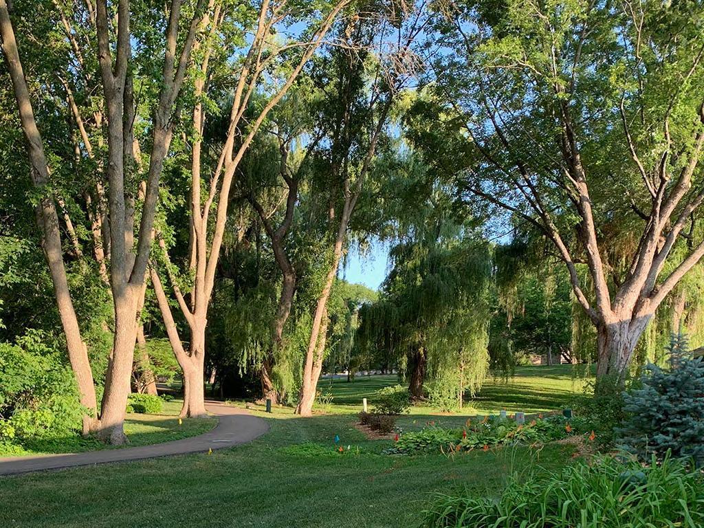 110306 Center Green Circle