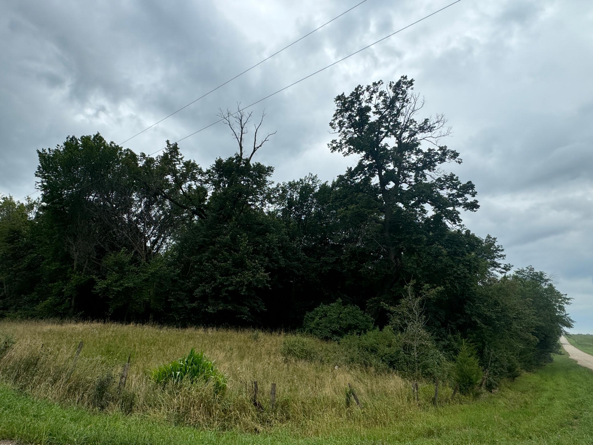 x23 Weller Avenue