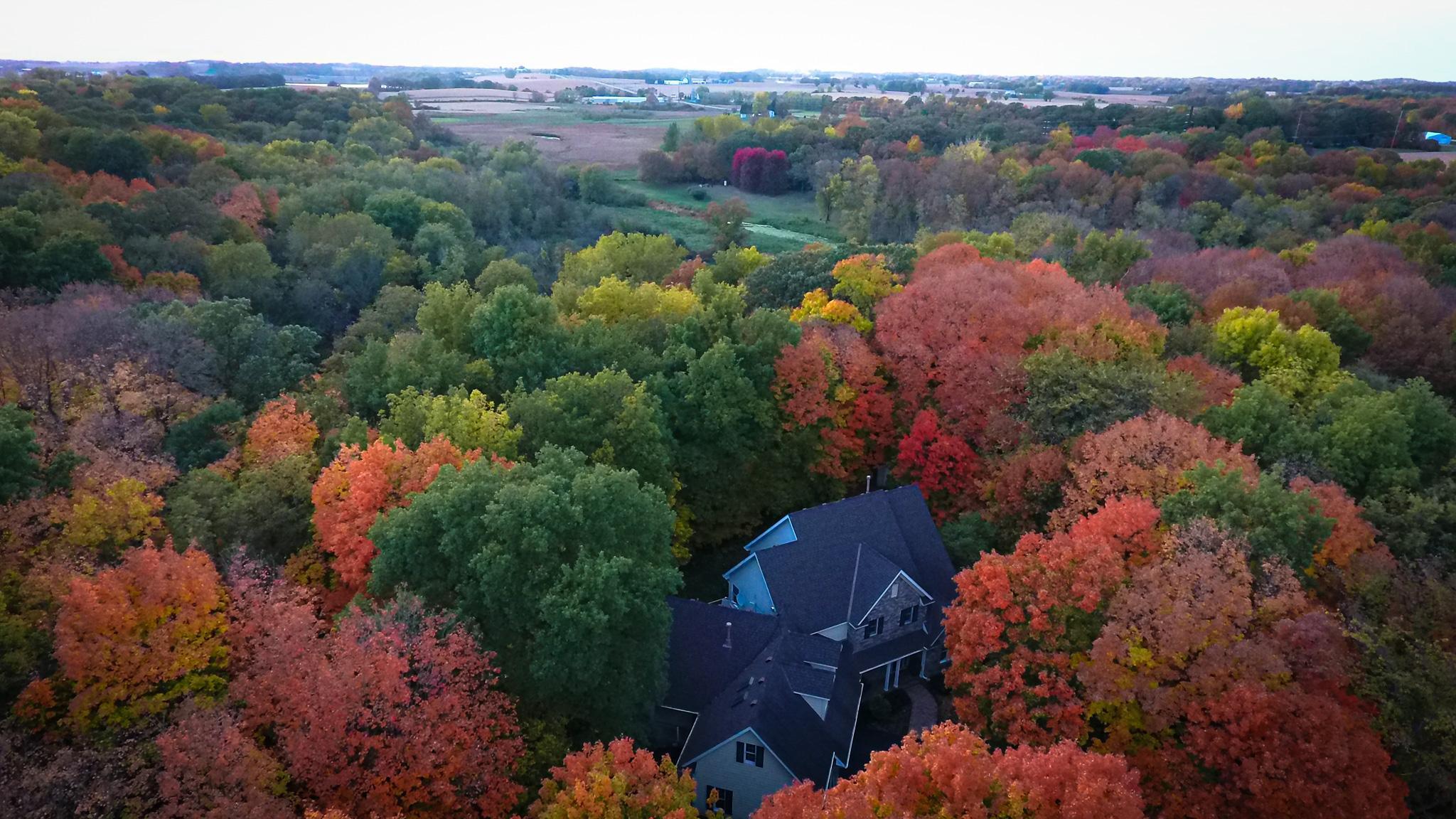 11990 Creekridge Lane