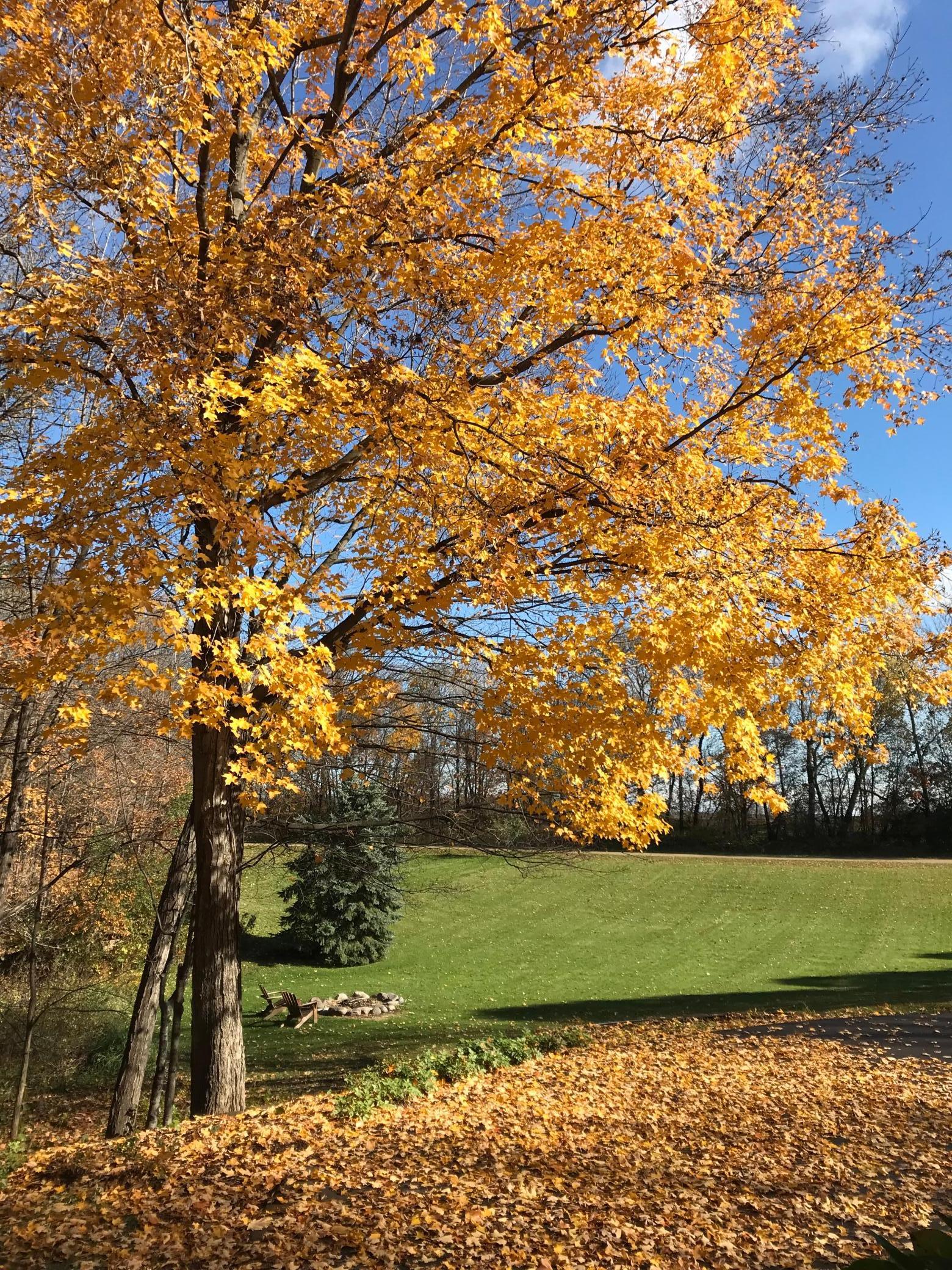 11990 Creekridge Lane