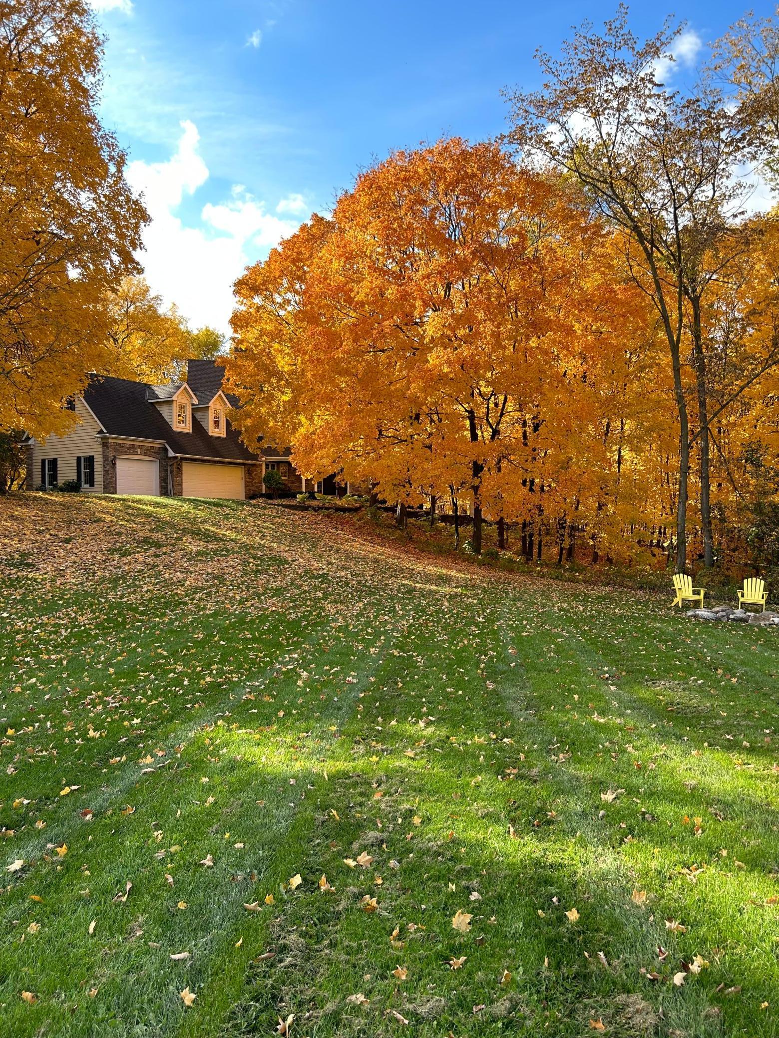 11990 Creekridge Lane