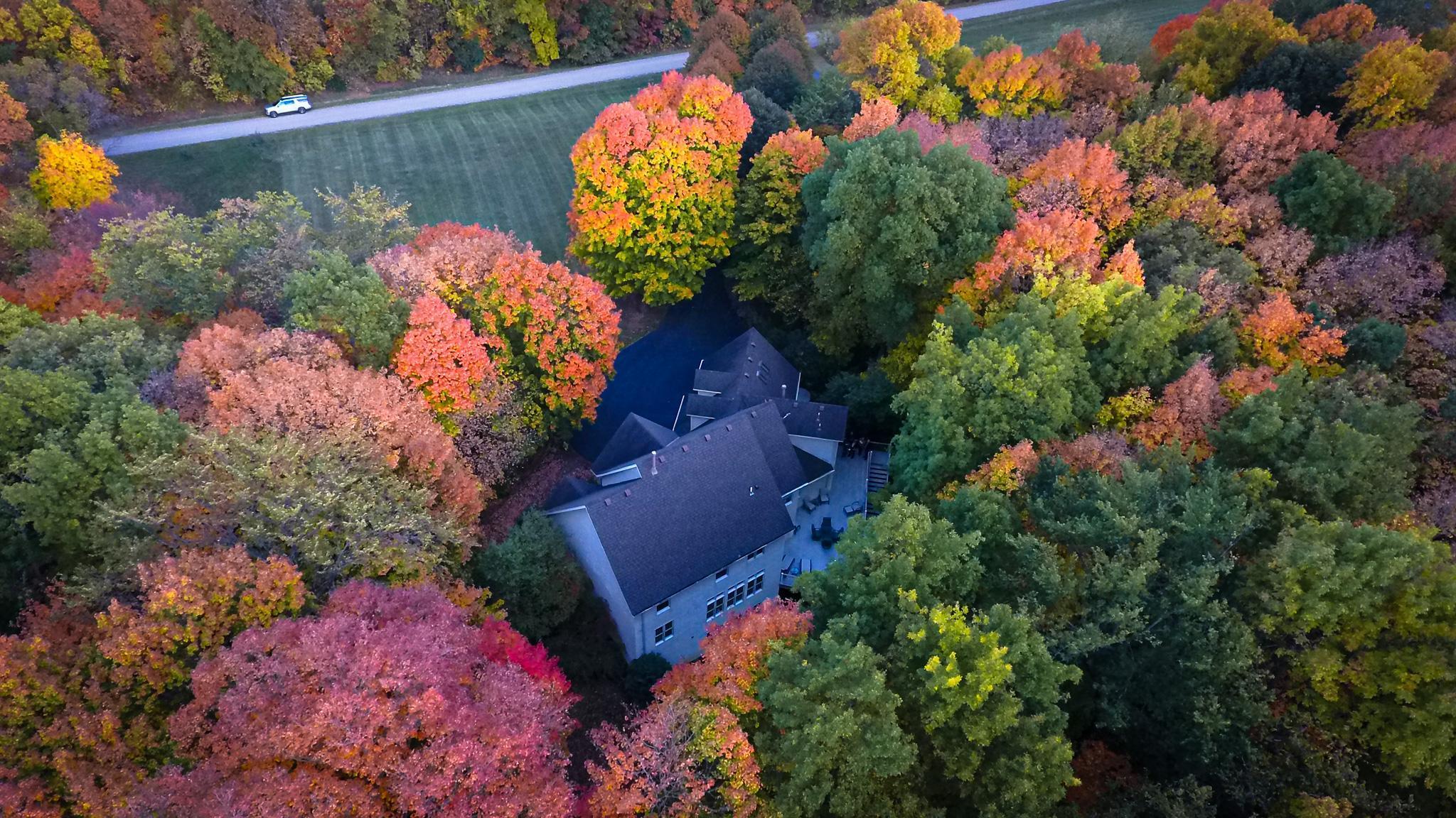 11990 Creekridge Lane