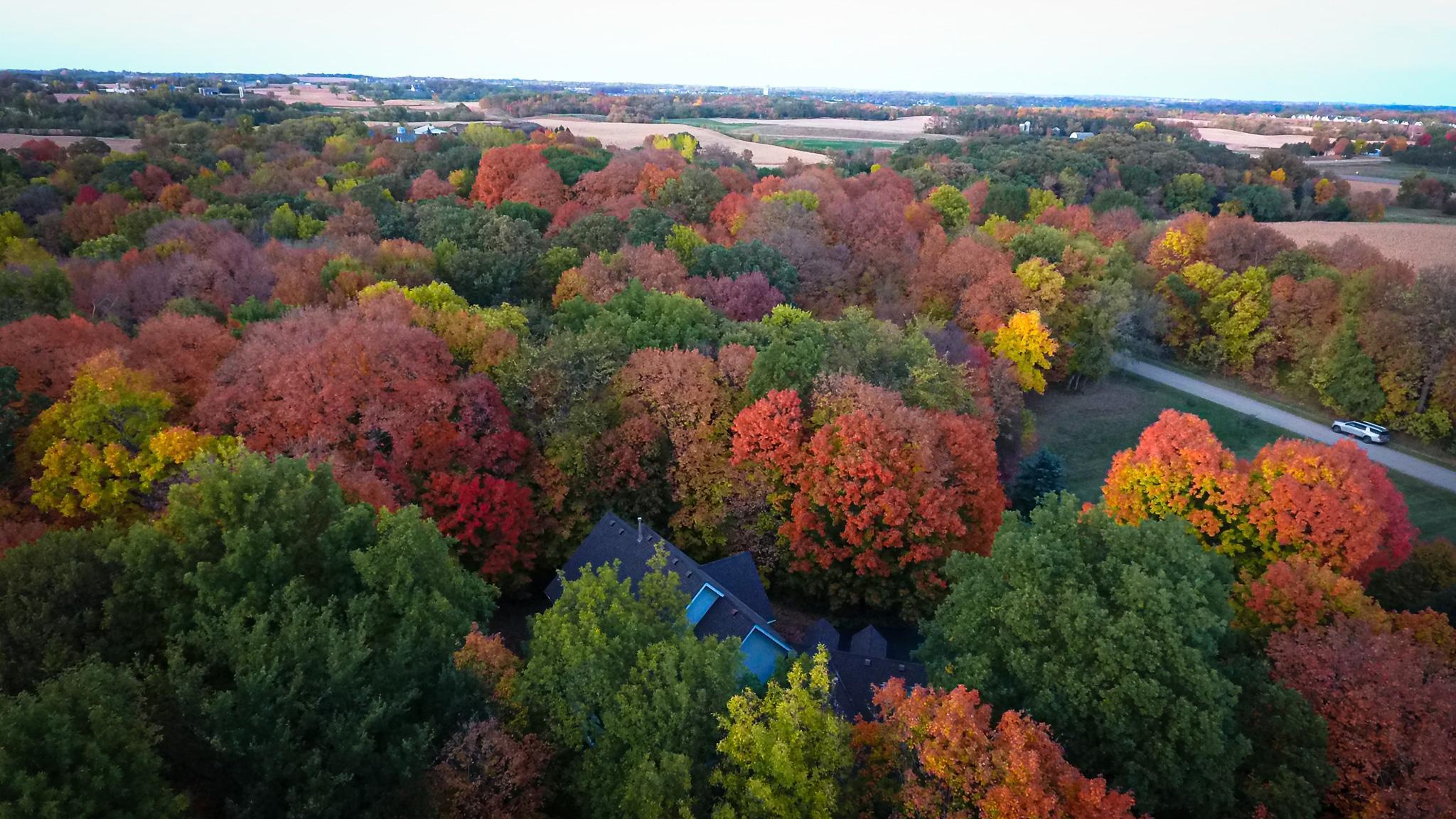 11990 Creekridge Lane