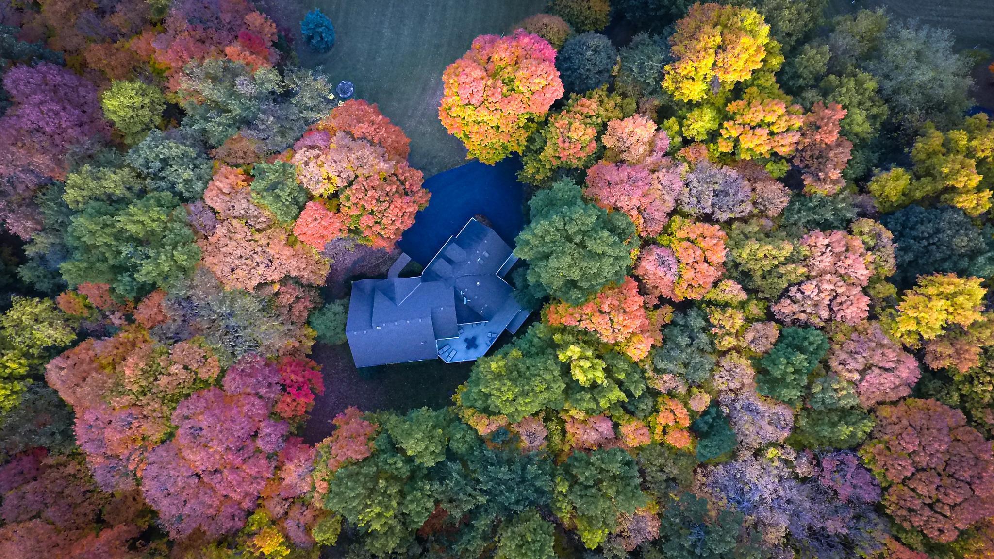 11990 Creekridge Lane