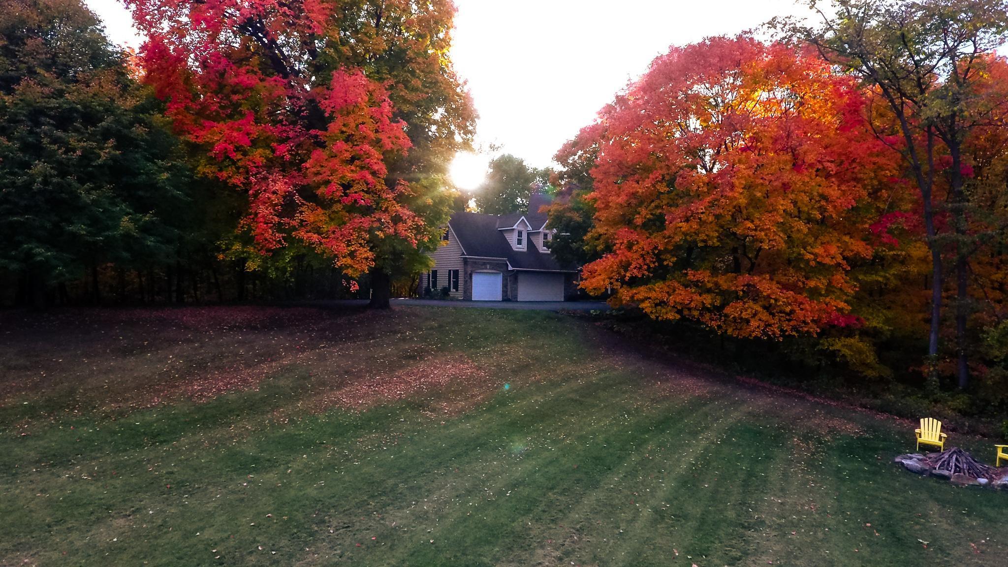 11990 Creekridge Lane