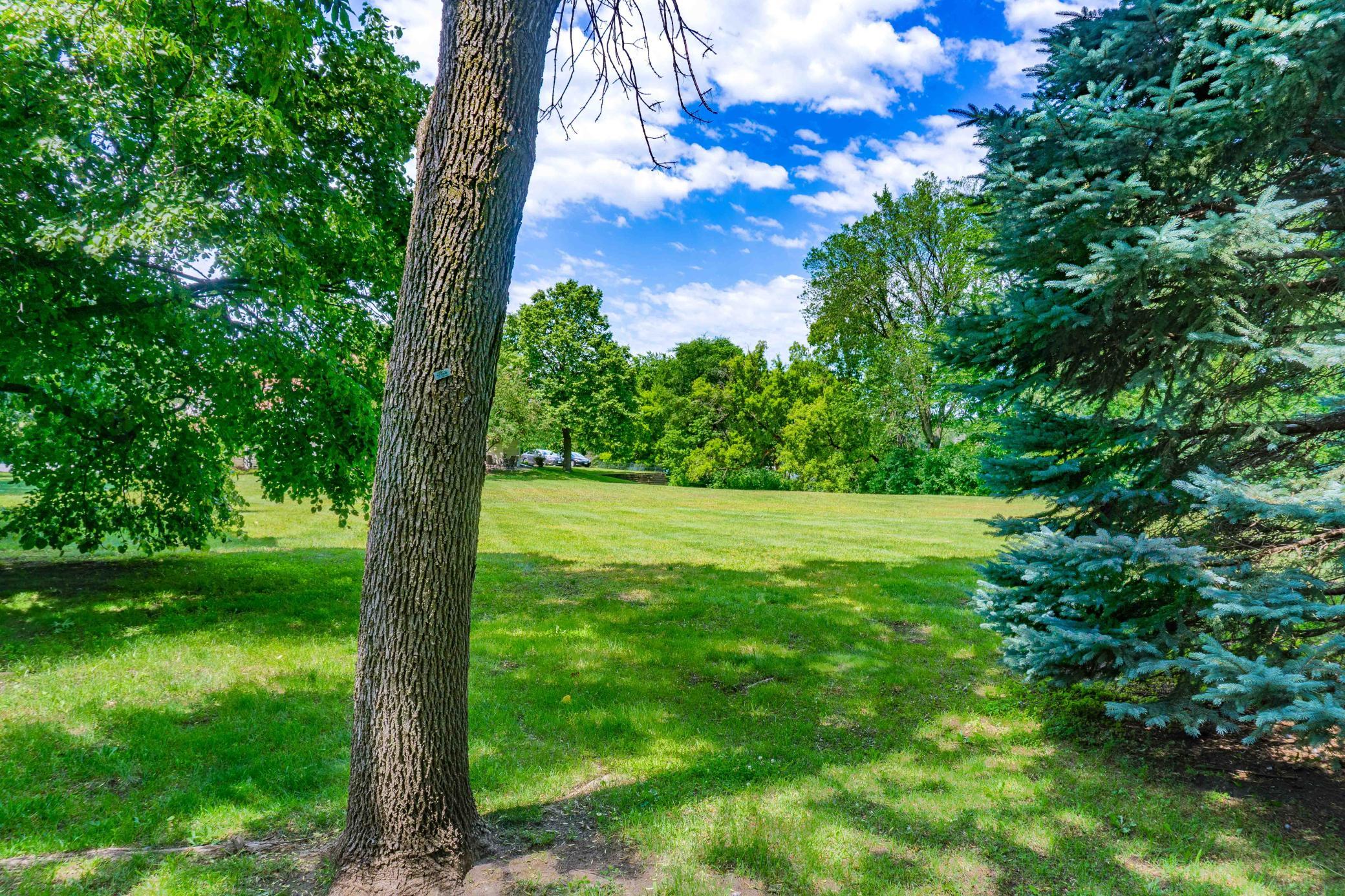 7922 Timber Lake Drive