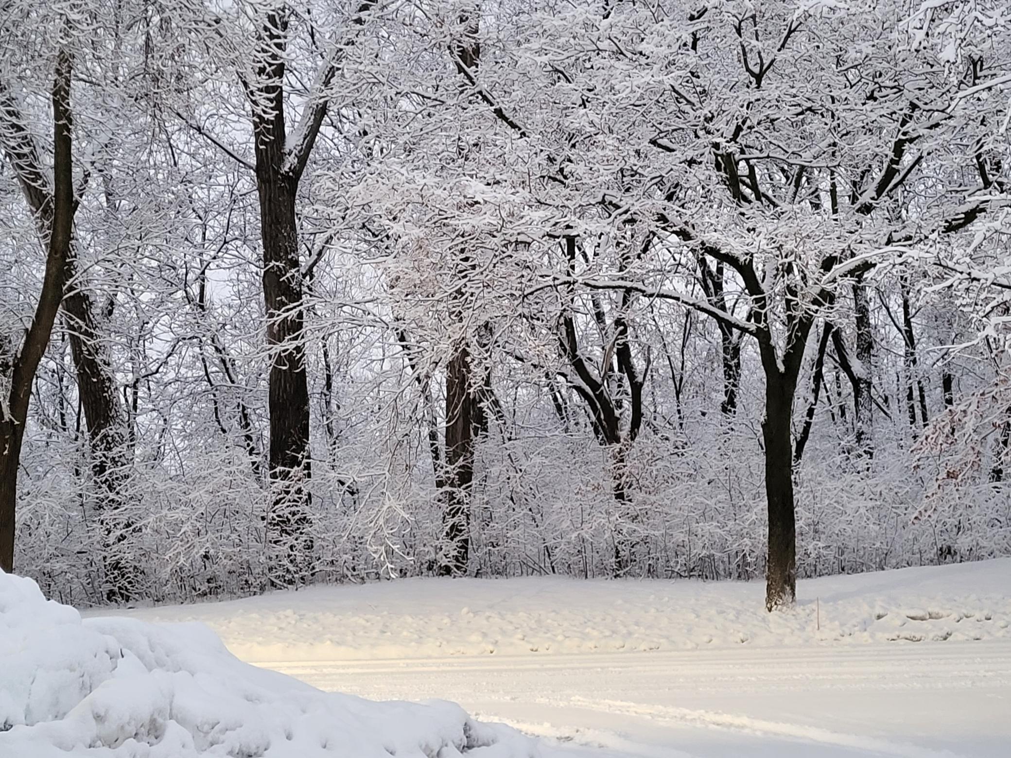 6220 Sandpiper Court