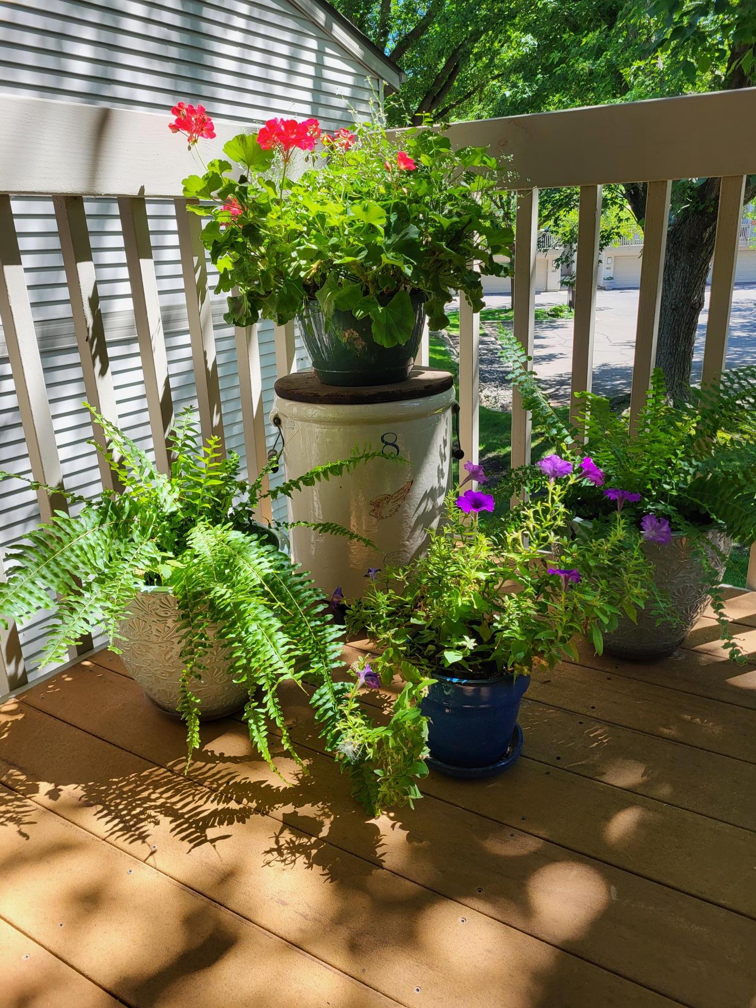 6220 Sandpiper Court