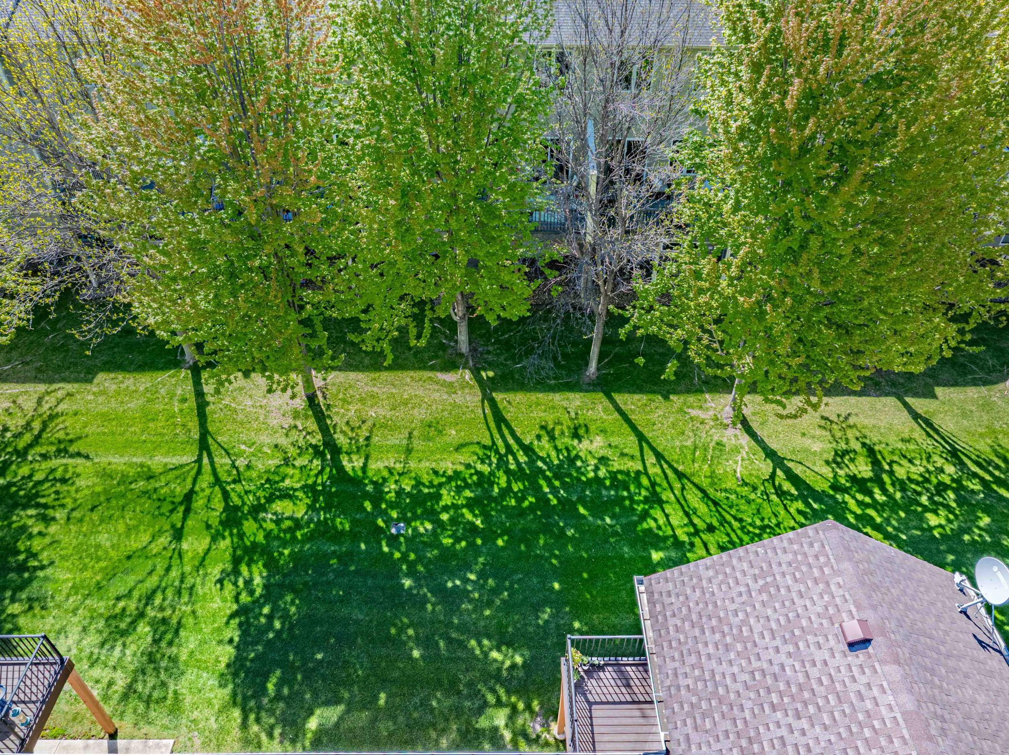 1020 Primrose Lane