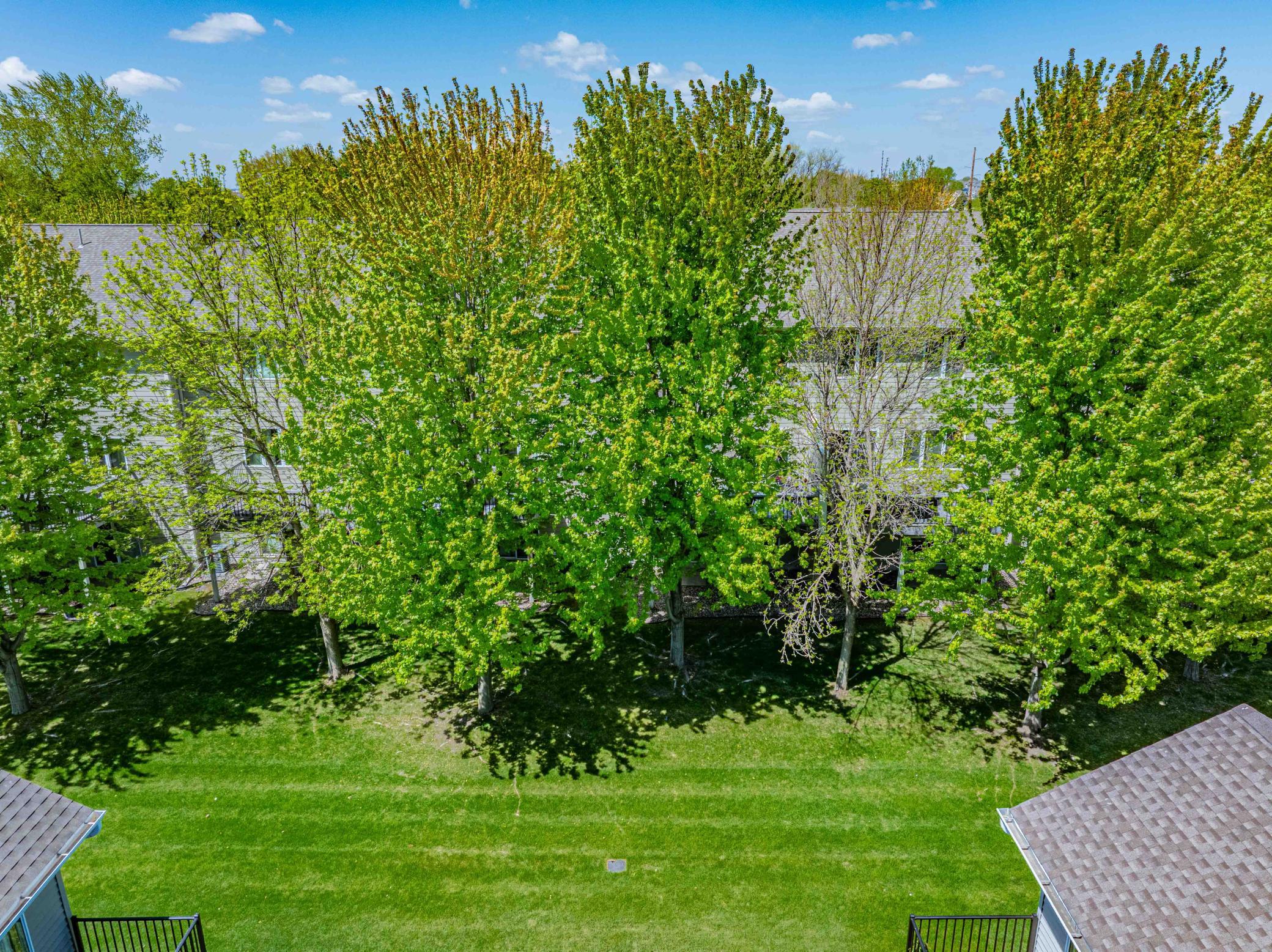 1020 Primrose Lane