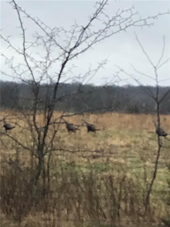 00000 KS Highway 52 Highway