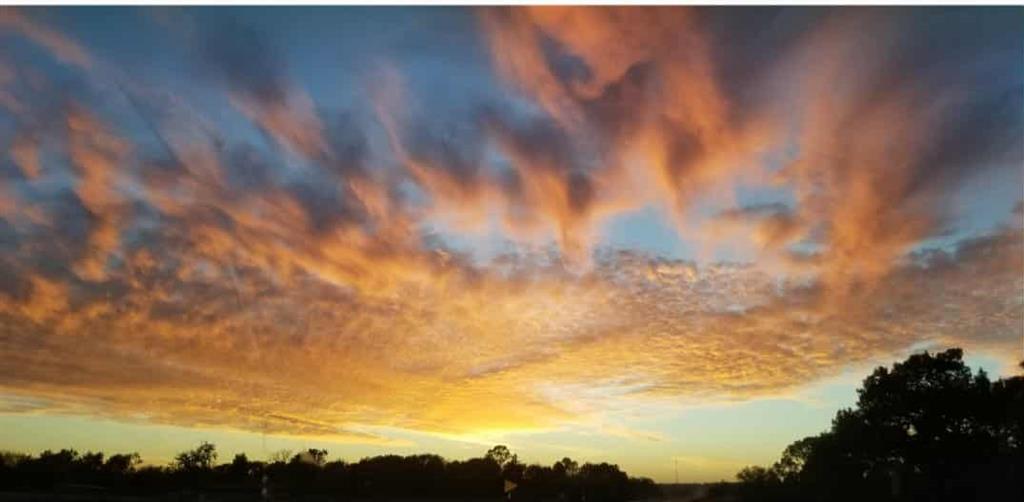 1481 135th Street Street