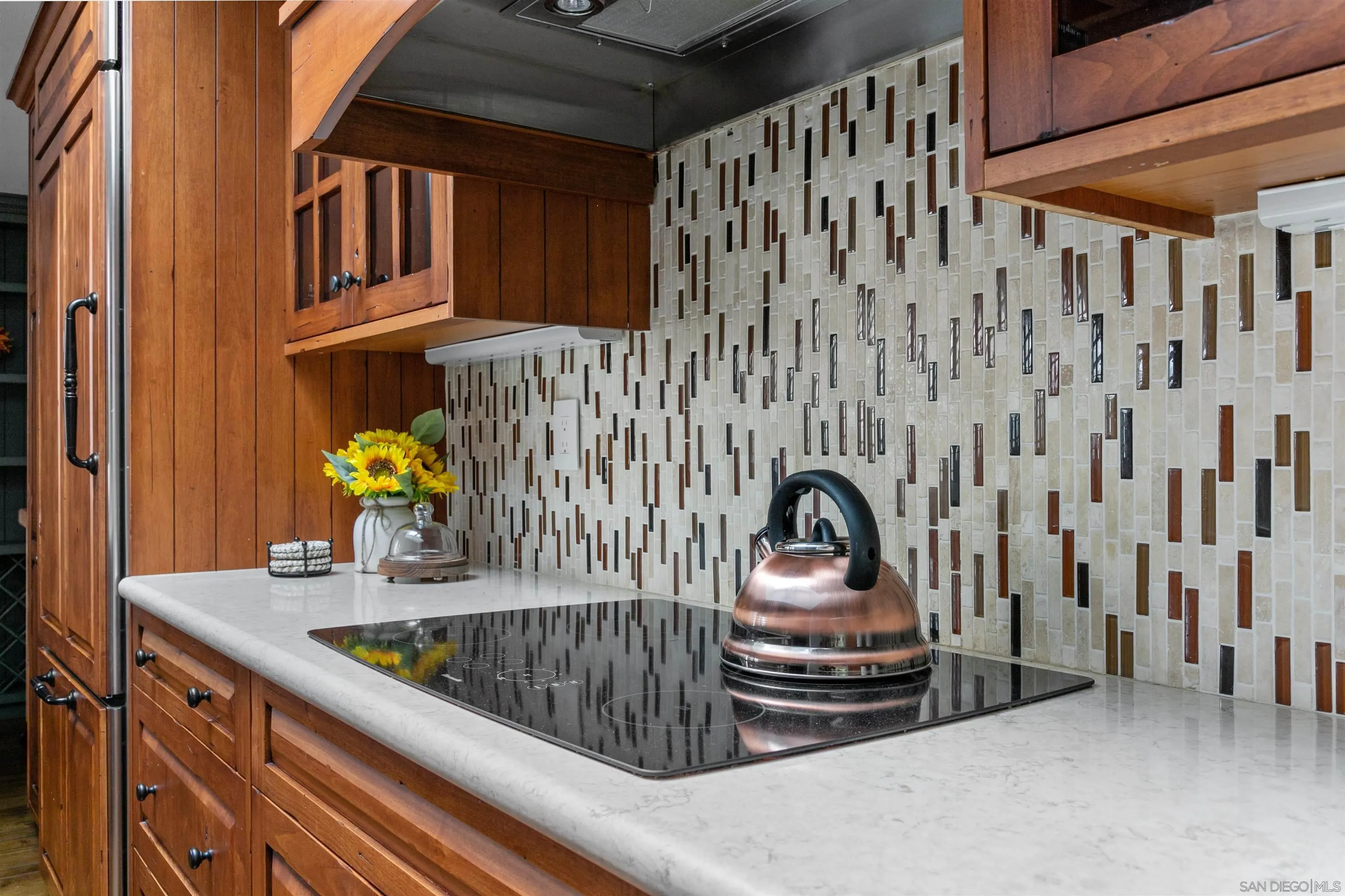 2205 Caminito Preciosa Sur