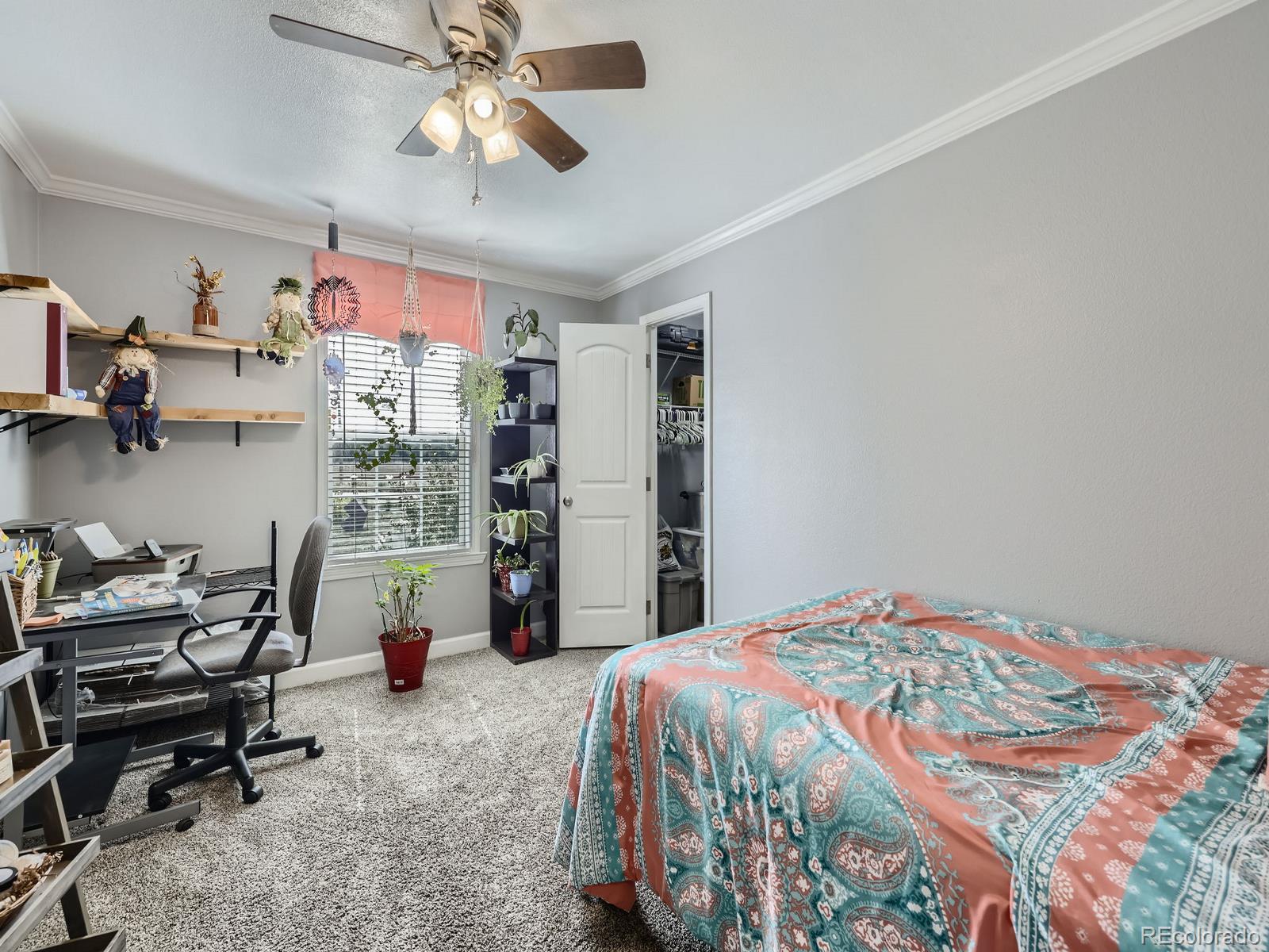 1598 County Road 59