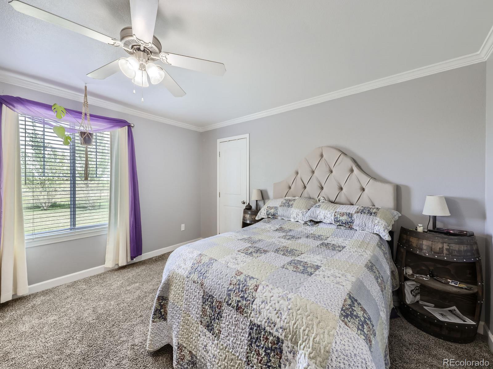1598 County Road 59