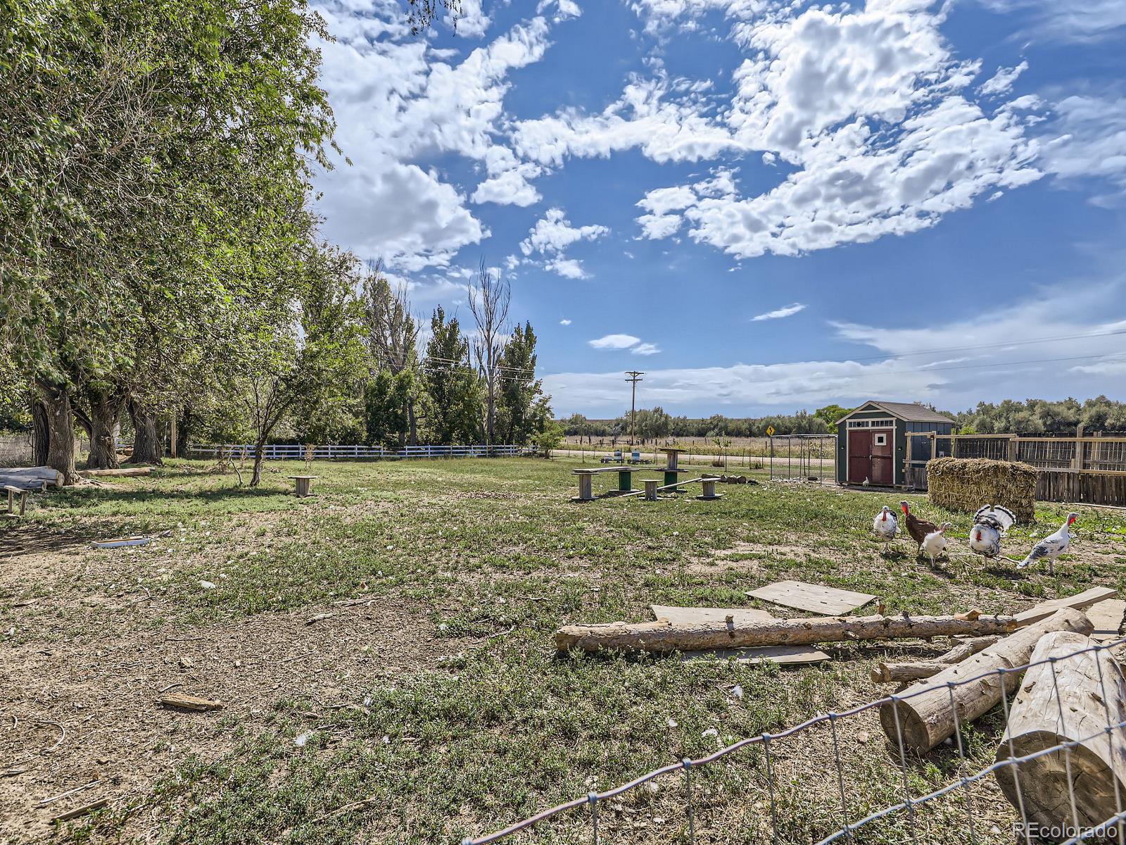 1598 County Road 59