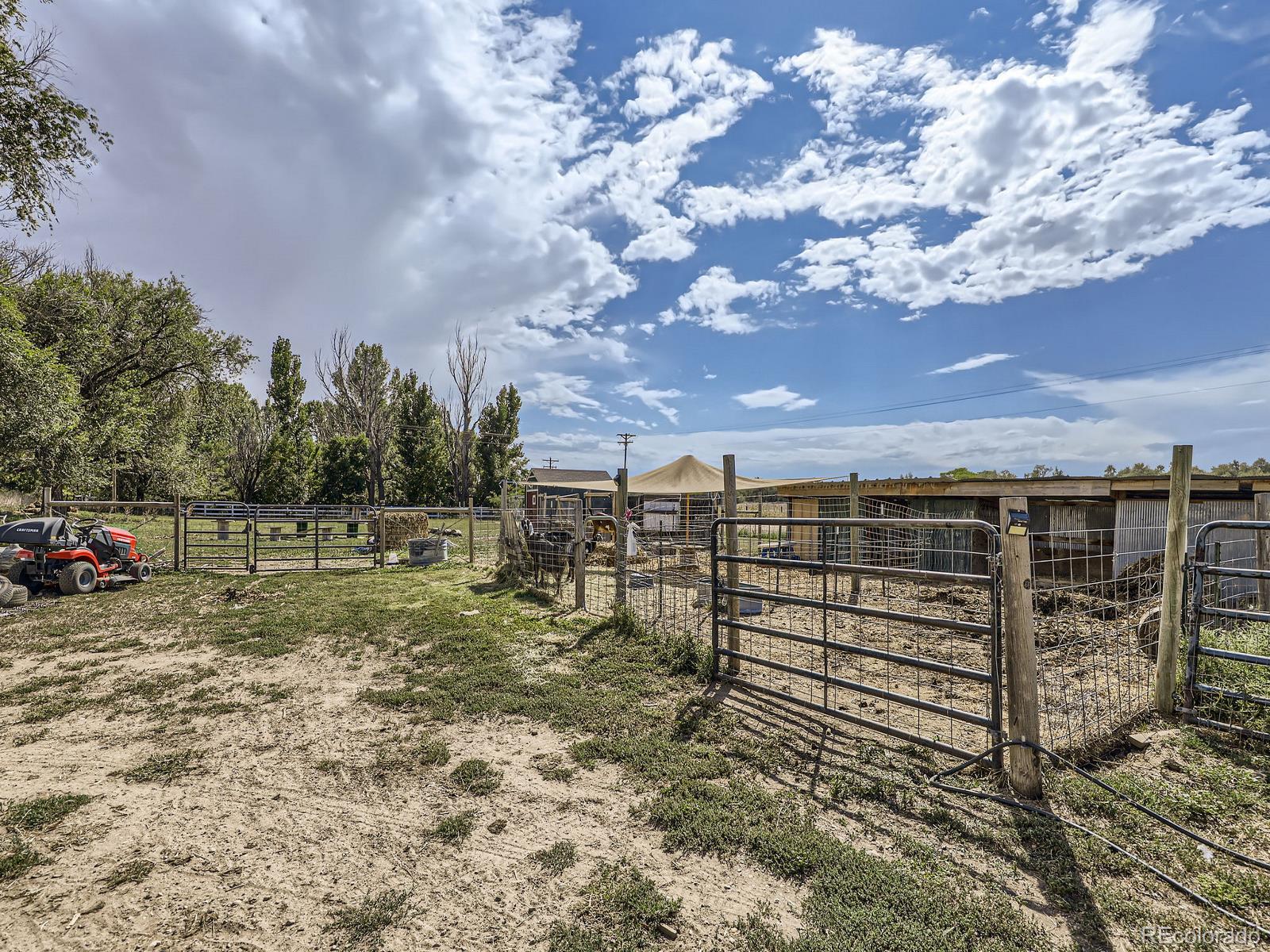 1598 County Road 59