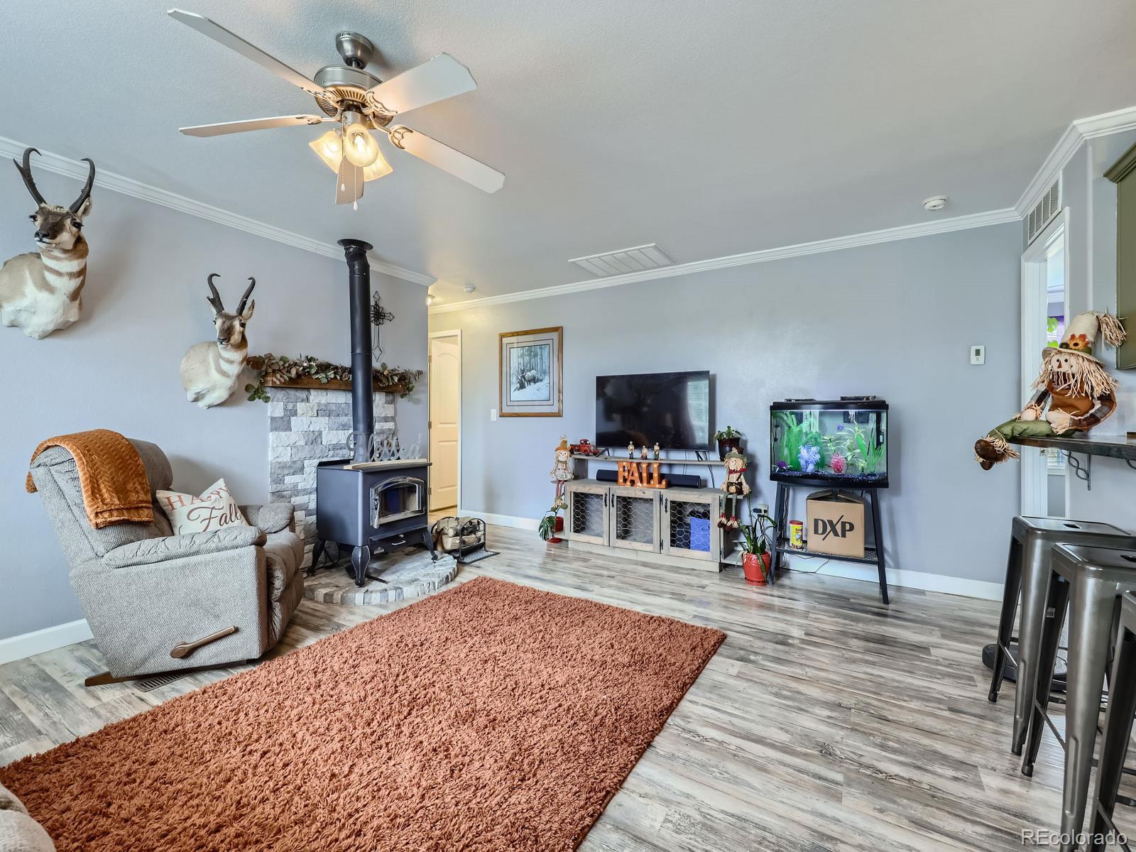 1598 County Road 59