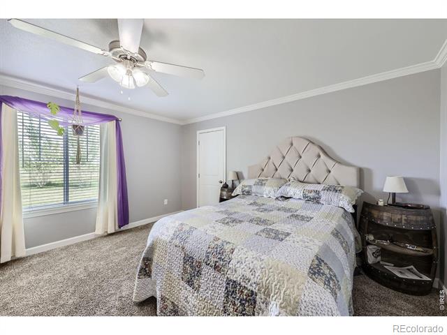 1598 County Road 59