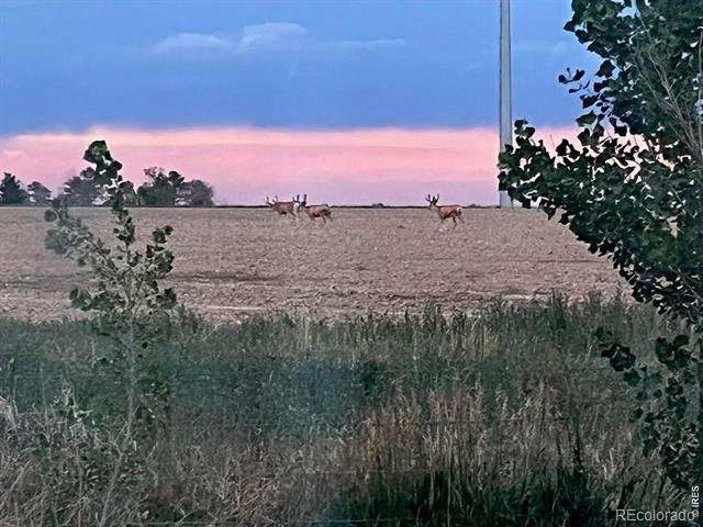1598 County Road 59