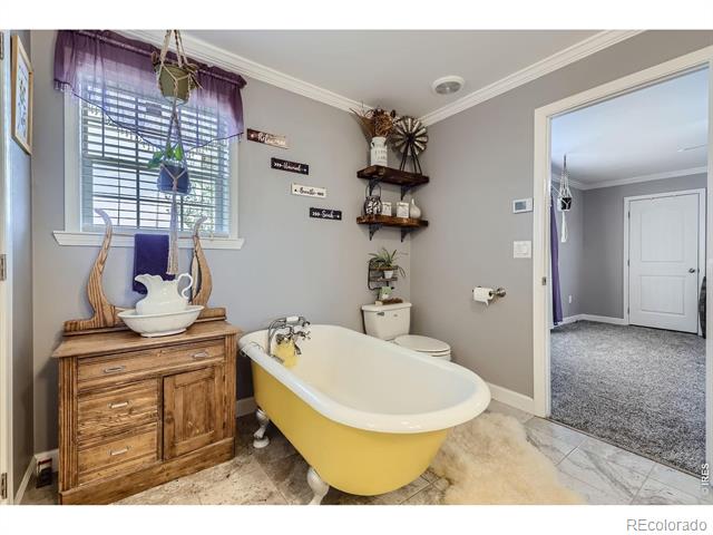 1598 County Road 59