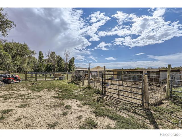 1598 County Road 59