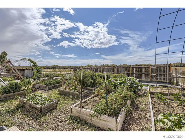 1598 County Road 59