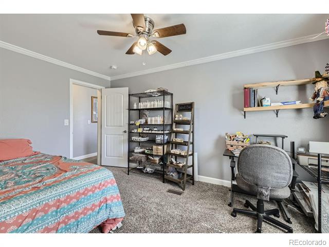 1598 County Road 59