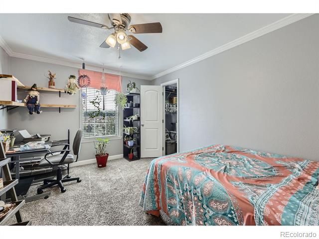 1598 County Road 59