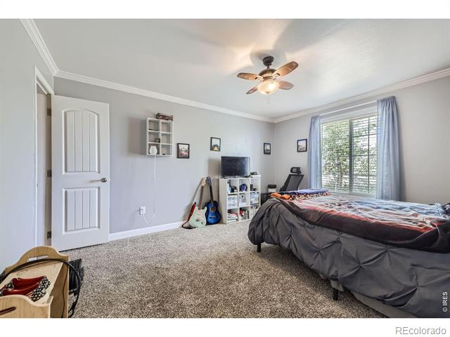 1598 County Road 59