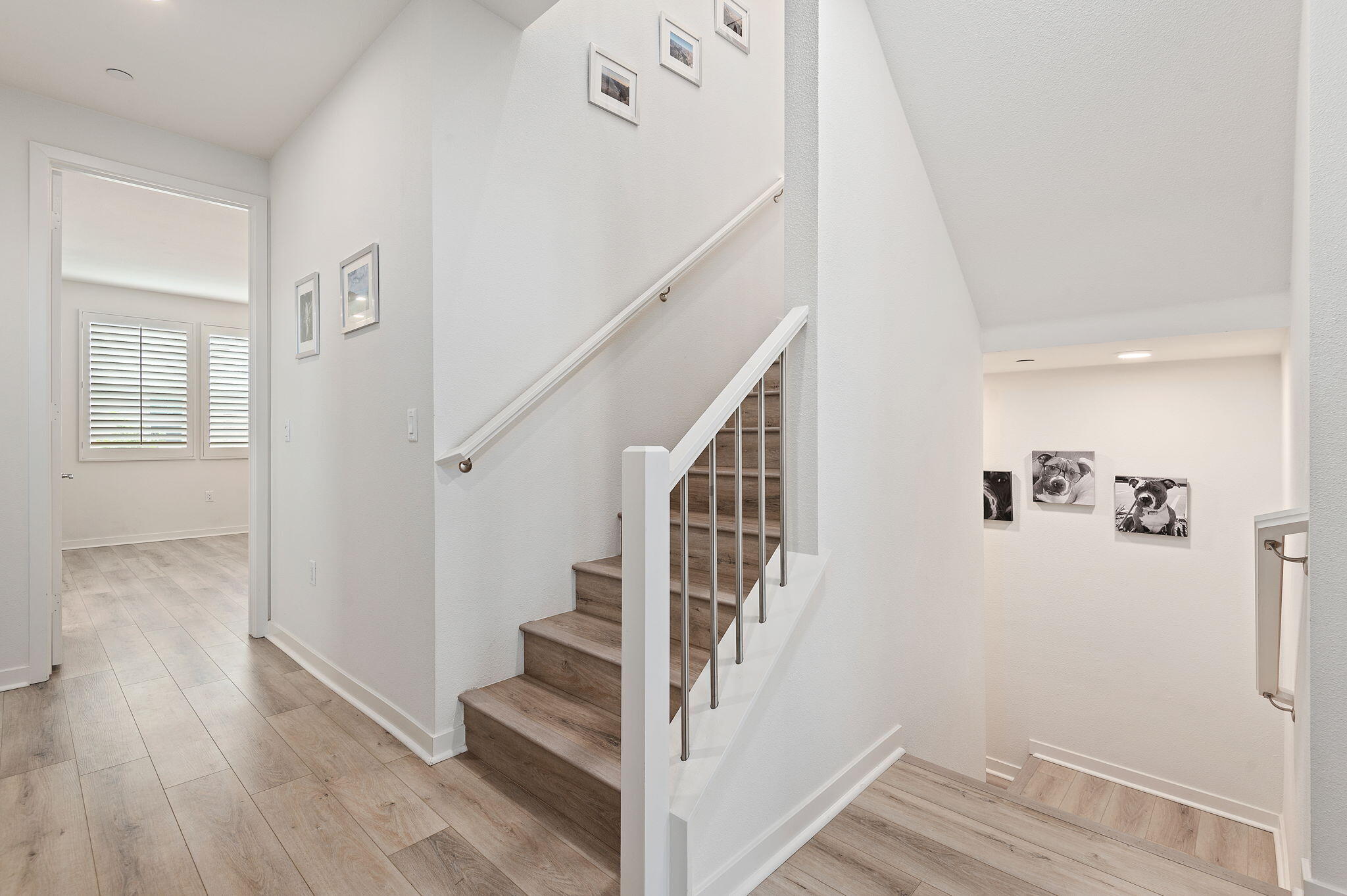 647 Winchester Drive