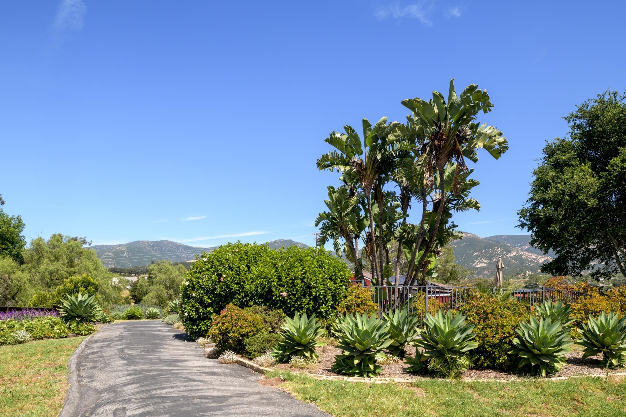978 Cocopah Drive