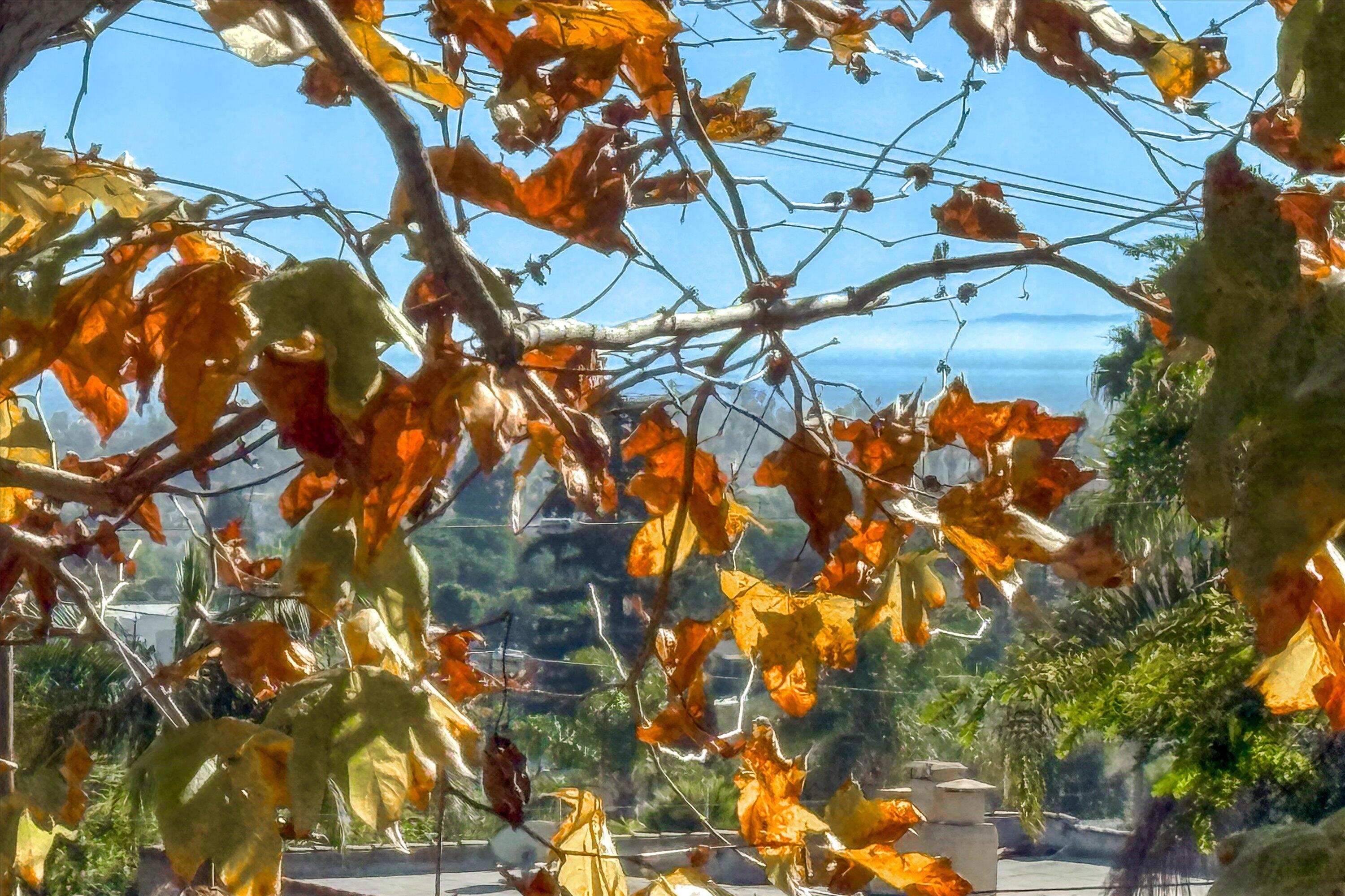 601 E Micheltorena 3