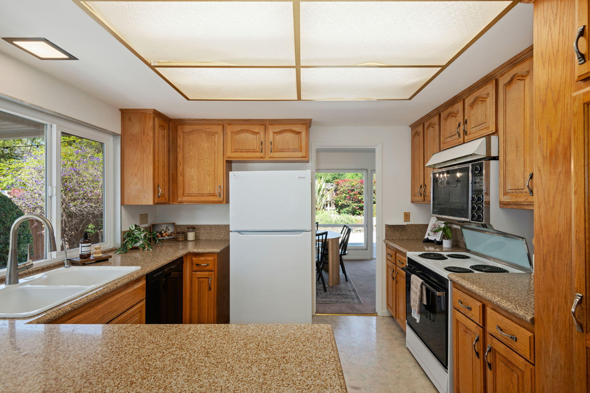 6440 Camino Viviente
