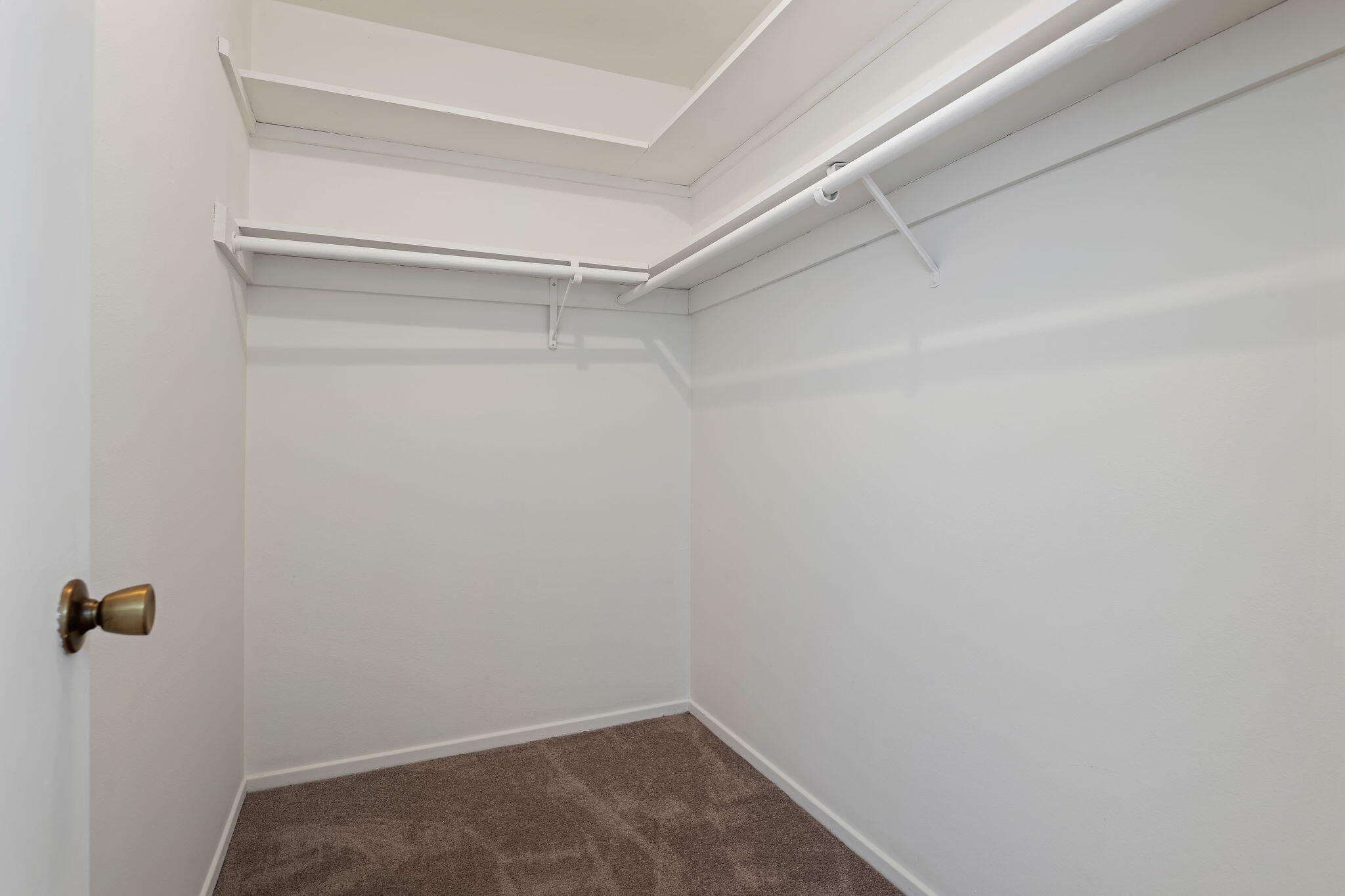 6440 Camino Viviente