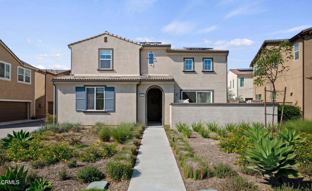 1991 Pomegranate Street