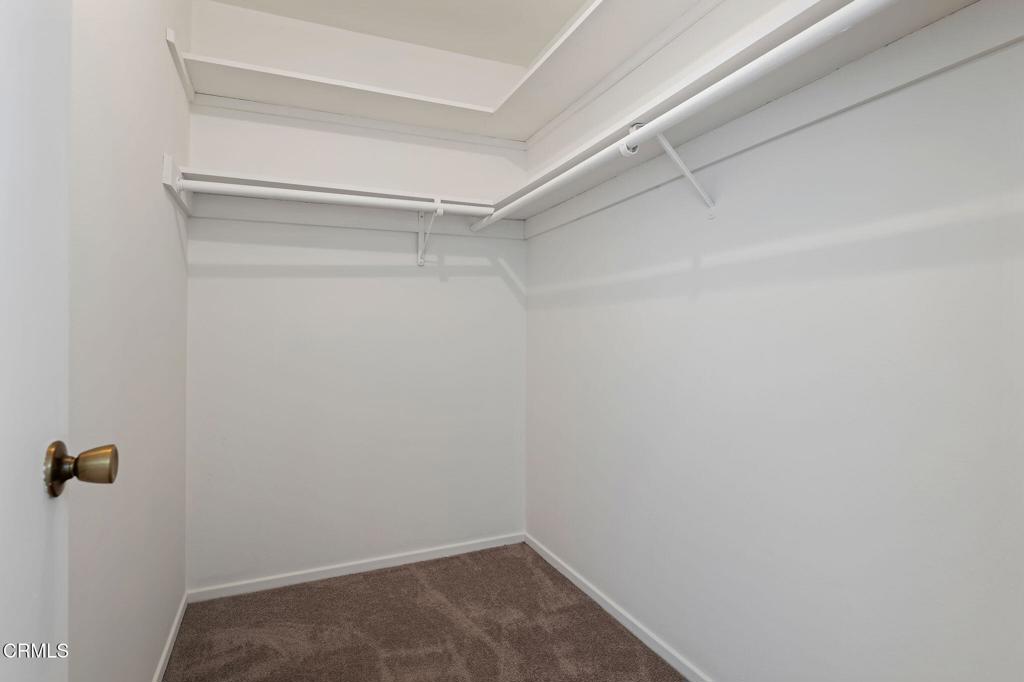 6440 Camino Viviente