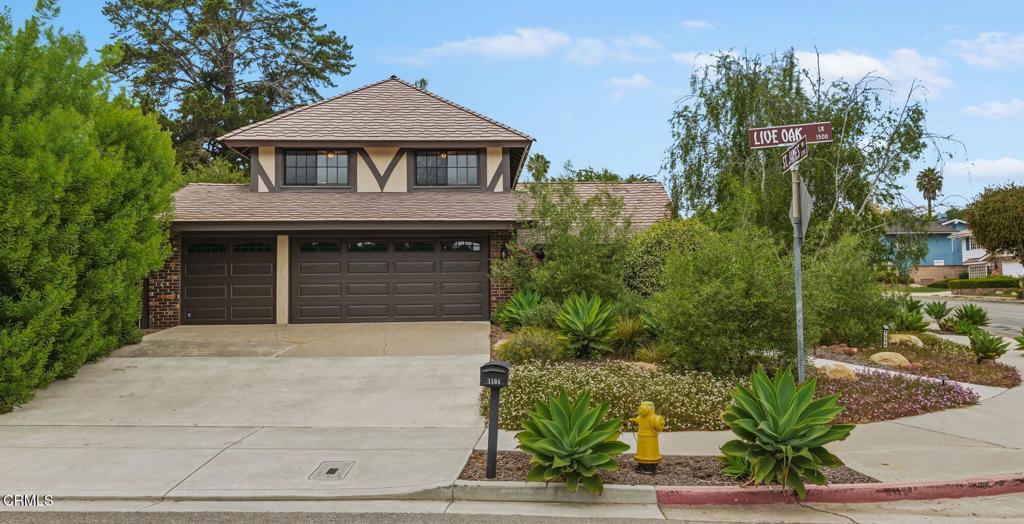 1504 Live Oak Lane