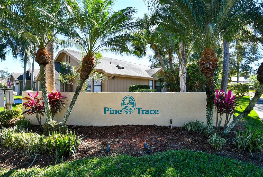 7805 PINE TRACE DRIVE