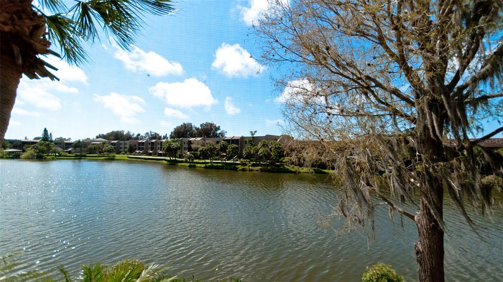 5381 LAKE ARROWHEAD TRAIL Unit: 20A