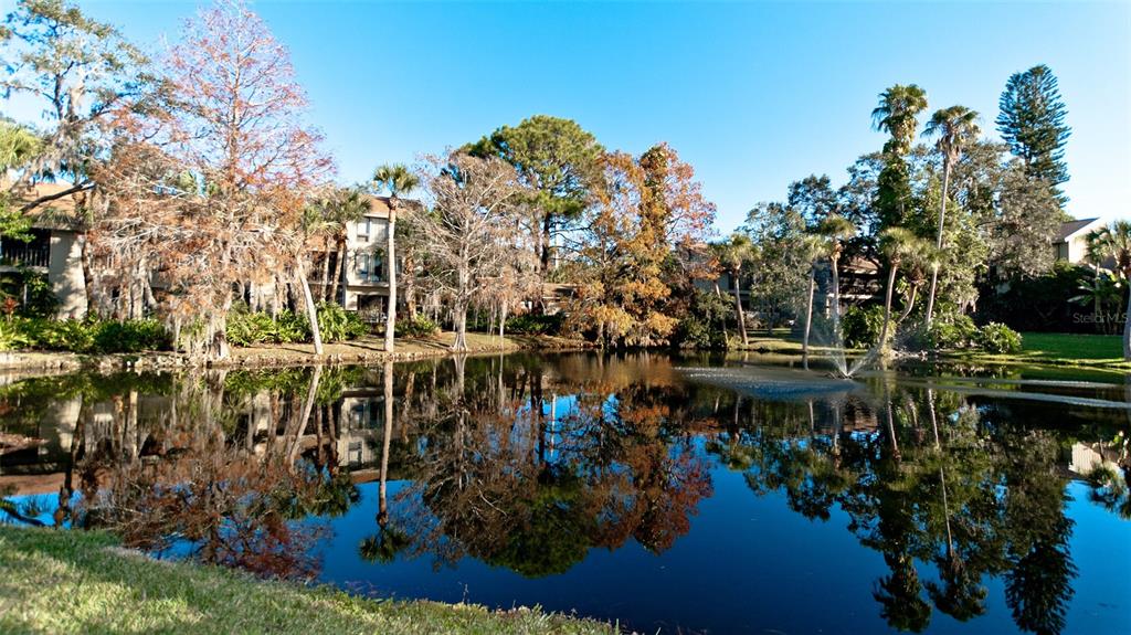 5381 LAKE ARROWHEAD TRAIL Unit: 20A