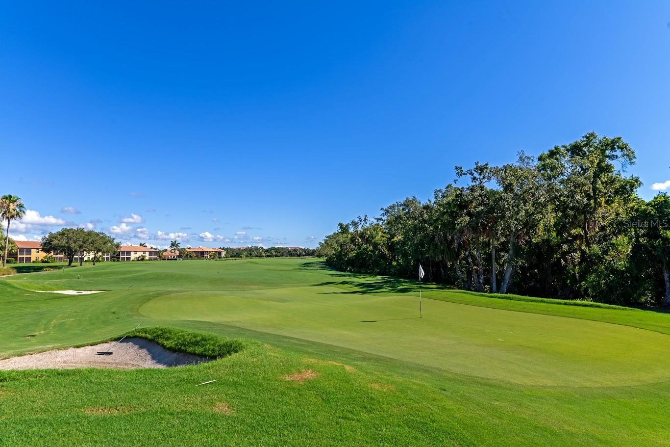 523 GRAND PRESERVE CV