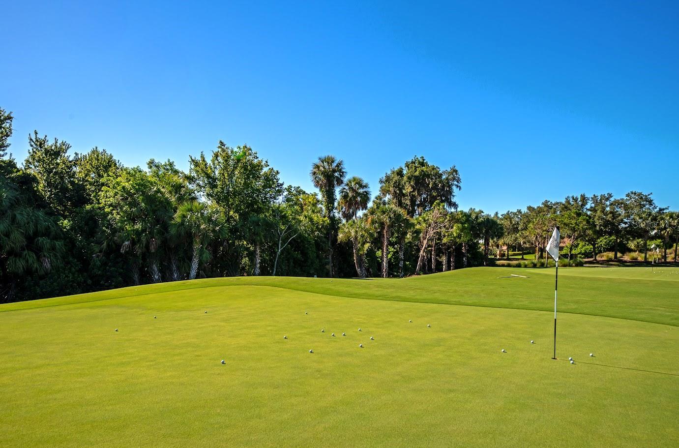 523 GRAND PRESERVE CV