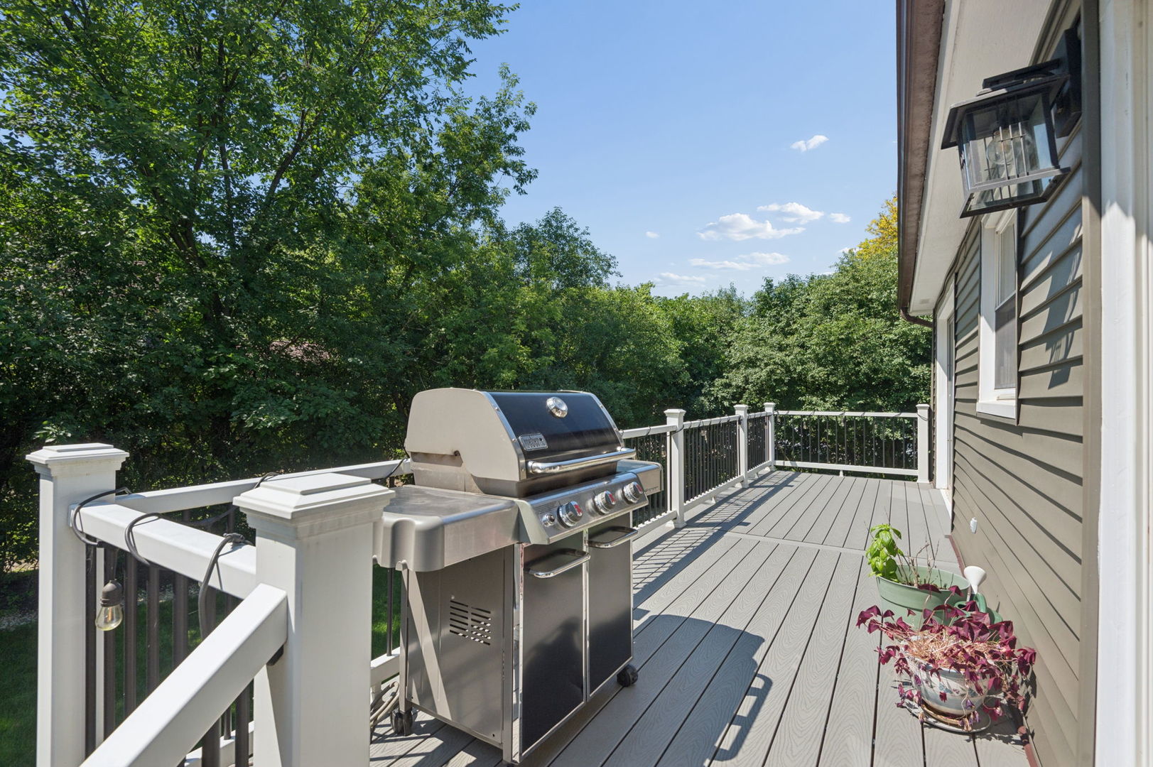 3923 Rutgers Lane