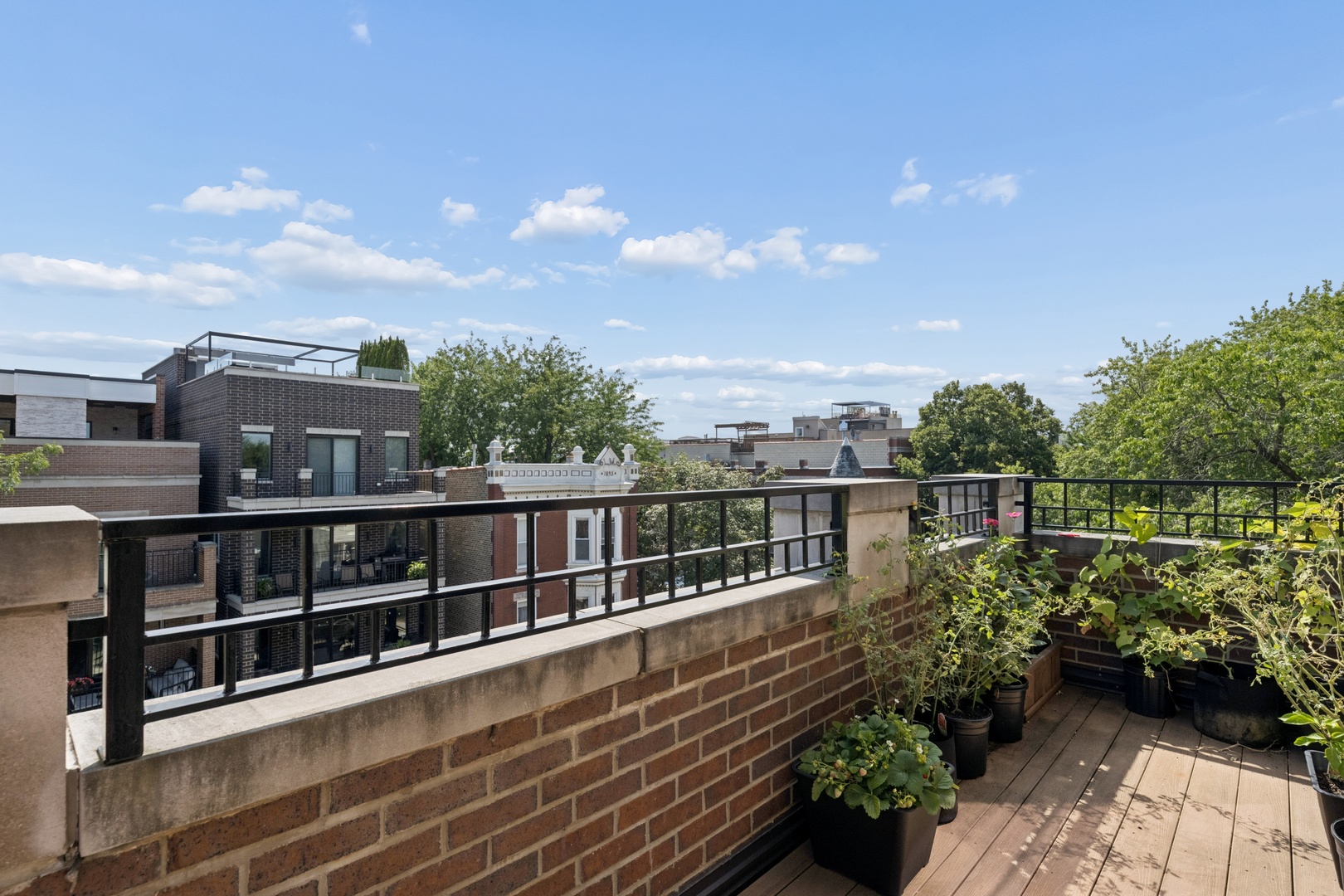 1320 W Wrightwood Avenue Unit: 3