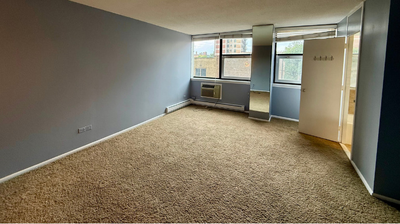 3110 N Sheridan Road Unit: 505