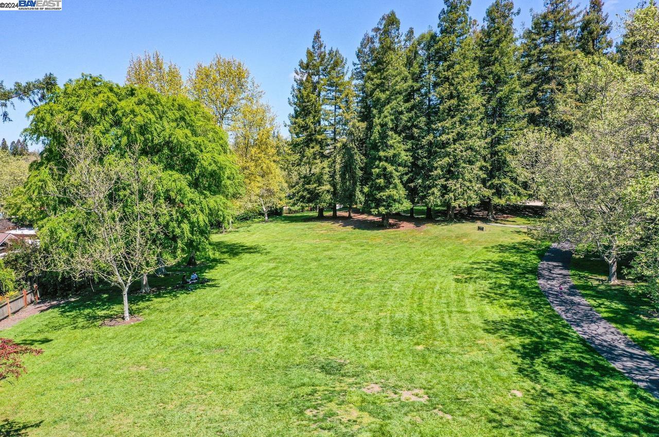 124 Tweed Dr