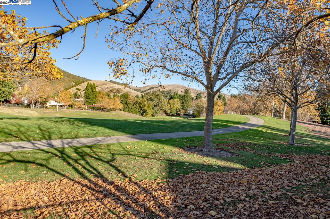324 Live Oak Dr