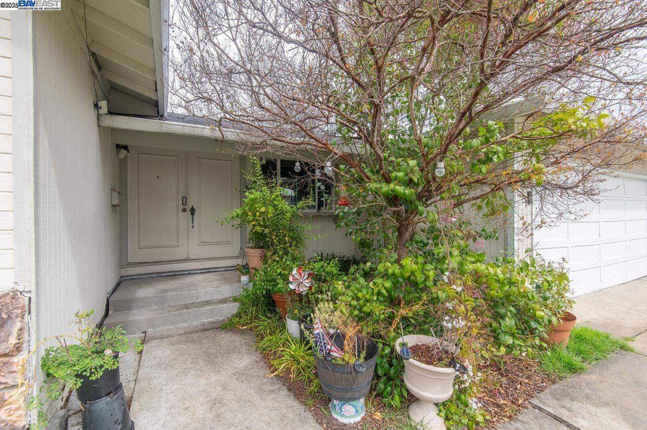 6829 Adobe Ct
